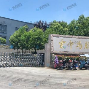 松陽的客戶，調(diào)試30型包子機完成！