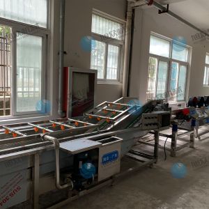 果蔬氣泡清洗機(jī)風(fēng)干流水線多少錢？